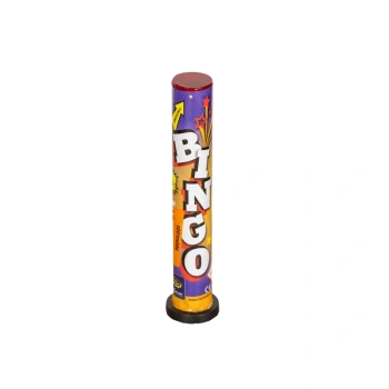 18517-bingo-21.jpg.webp