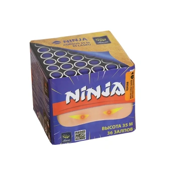 18523-ninja-1.jpg.webp