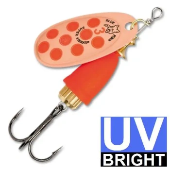 20397-bfu-coou.jpg.webp