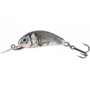 Vobler Salmo Rattlin Hornet FLO 3.5cm HGS 2.2g 1-1.5m (ujuv)