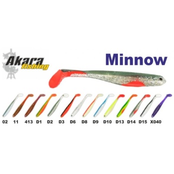 12026-12026_62d6a89b8e2dd5.02432835_rip-minnow_large.jpeg