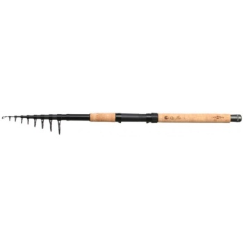 Õng Mikado Da Vinci Top Float 4m 5-25g