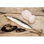 Meriforelli lant 4 (roheline)