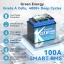 20242-kepworth-lithium-lifepo4-smart-akumuliatorius-12v-100ah-mini-bluetooth-260x168x215mm-10kg-ip65-waterproof-su-pakroveju-4-.jpg.webp
