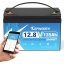 20547-kepworth-lithium-lifepo4-smart-akumuliatorius-12v-135ah-mini-bluetooth-332x176x220mm-128kg-ip65-waterproof-su-pakroveju-1-.jpg.webp