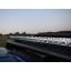 16984-16984_67647e866418c5.42315223_t28_evolution_-_lazer_lamps_led_spotlights_-_pick-up_sports_bar_large.jpg