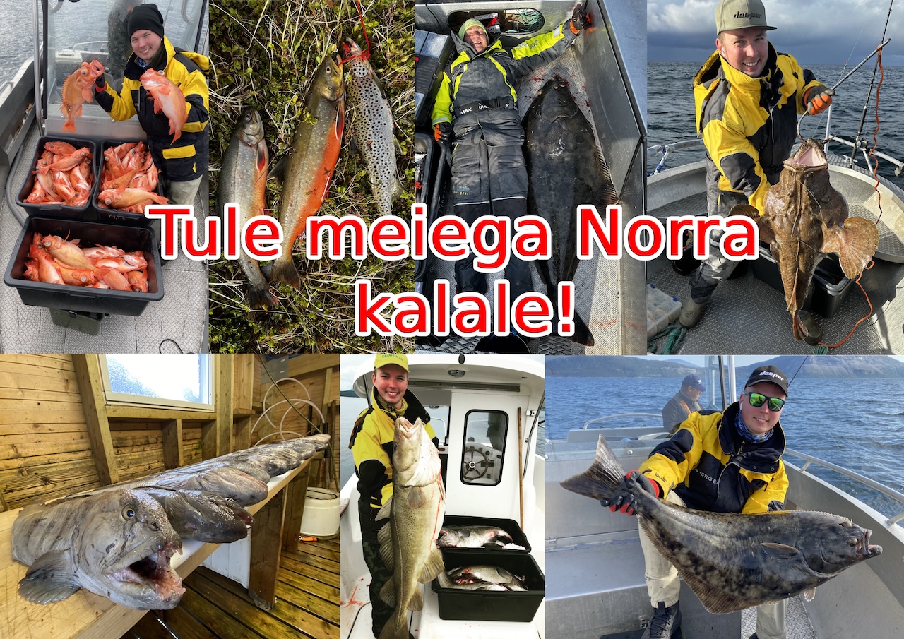 tulenorra.jpg (667 KB)